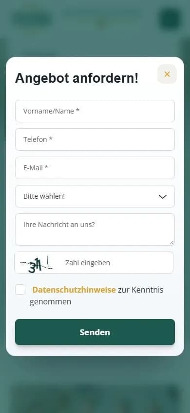 Echter Smartphone-Screenshot des leeren RSB-Anfrageformulars mit Leistungsauswahl